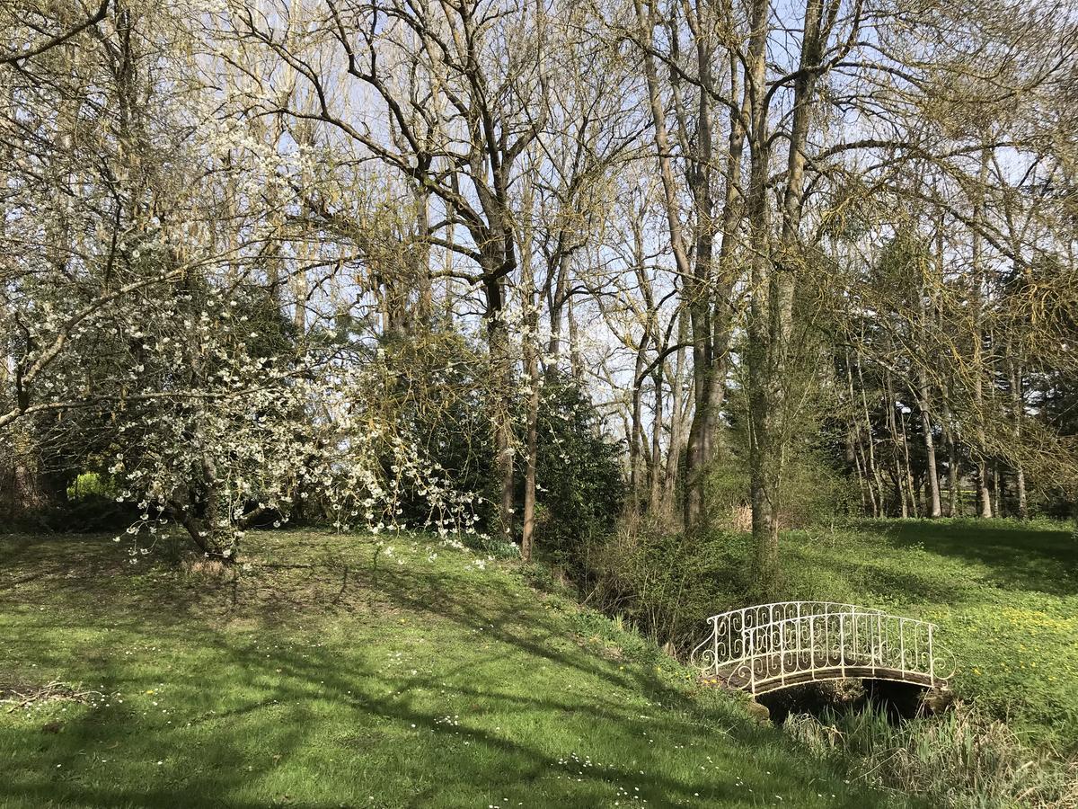 Larcay Chambre D'Hote Manoir De Clairbois מראה חיצוני תמונה